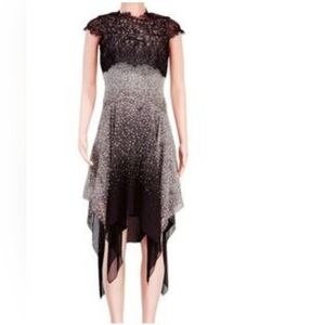 NWOT. BCBGMaxAzria 10 Caden Silk Ombré Chantilly Lace Overlay Handkerchief. 10.